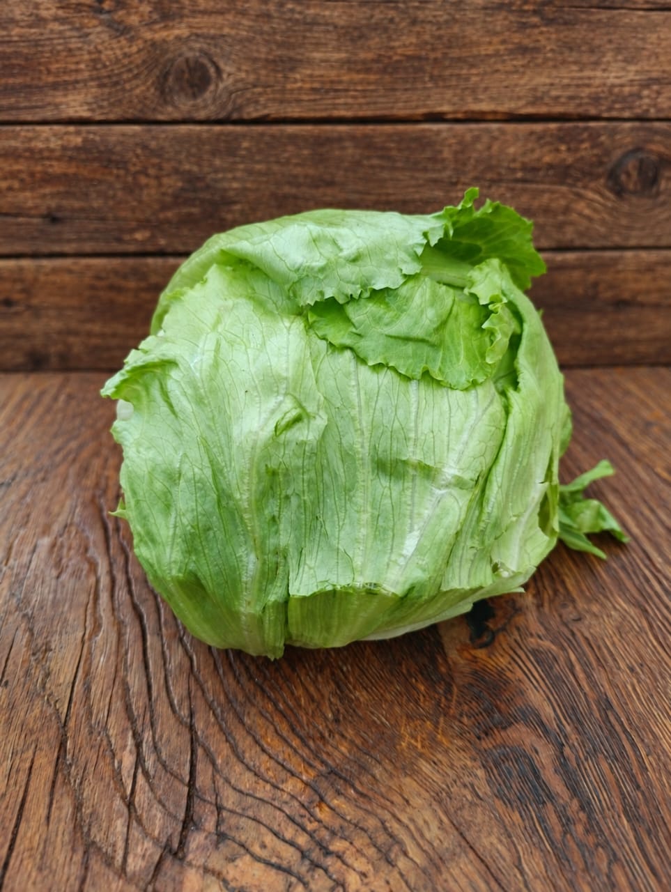 Iceberg Lettuce